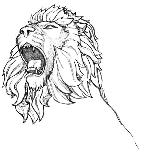 Roaring Lion Head Sketch