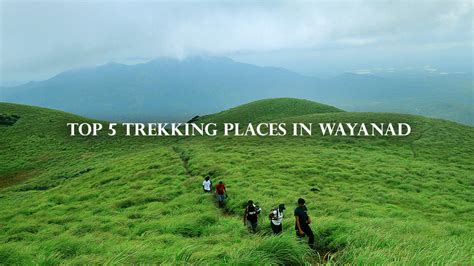 The best 5 trekking places to visit in Wayanad