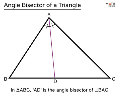 Angle Bisector of a Triangle – Definition, Theorem, Examples