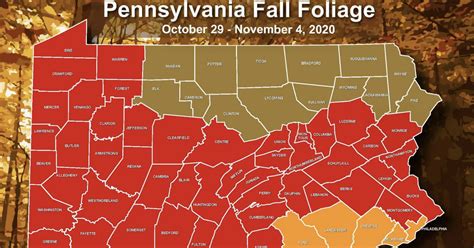 Here’s When Pa. Will Reach Peak Fall Foliage in 2020