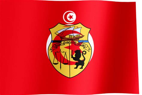 Tunisia Flag GIF | All Waving Flags