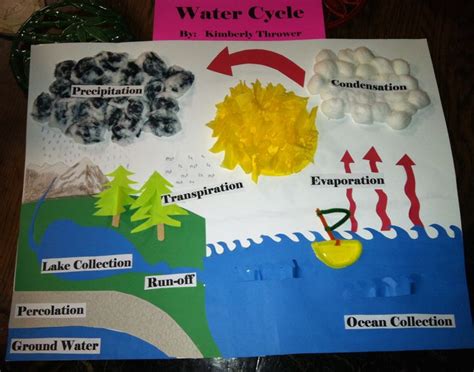 Pin on School Stuff | Water cycle, Water cycle project, Water cycle poster