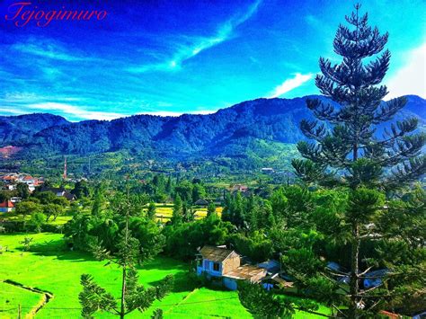 Puncak, Cisarua, Bogor, Indonesia | West java, Natural landmarks ...