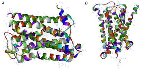 Spatial structures of the muscarinic acetylcholine M2 type receptor ...