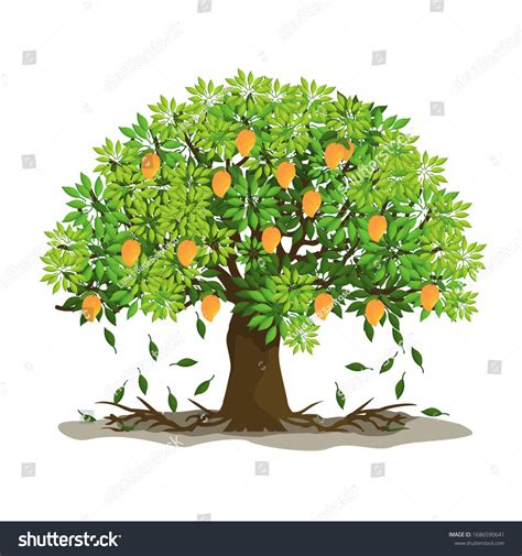 3,661 Mango Tree Vector Images, Stock Photos & Vectors | Shutterstock