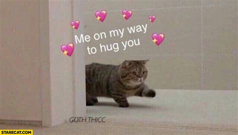 Cat me on my way to hug you cute | StareCat.com