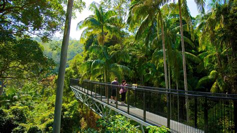 Visit Mount Tamborine: Best of Mount Tamborine, Tamborine Mountain ...