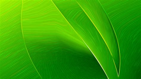 Abstract Neon Green Texture Background. All Free Download Vector ...