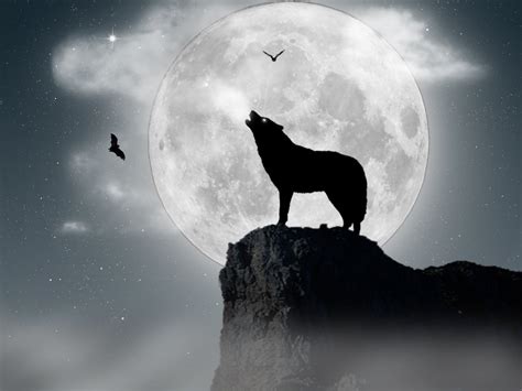 🔥 [70+] Wolf Moon Wallpapers | WallpaperSafari