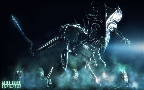 aliens queen xenomorph wallpaper | Alien queen, Aliens movie, Xenomorph