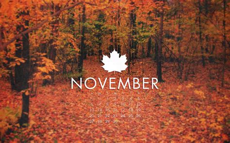 November Fall Wallpapers - Top Free November Fall Backgrounds ...