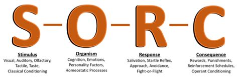 External Stimuli: Examples and Definition (2024)