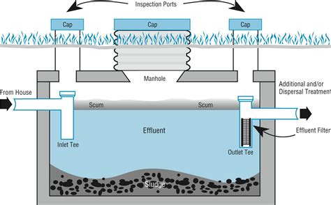 The Septic Doctor - Myth No.6: effluent filters are not necessary. Why ...