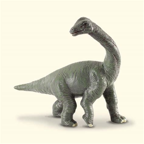 Brachiosaurus Baby - Collecta Figures: Animal Toys, Dinosaurs, Farm ...