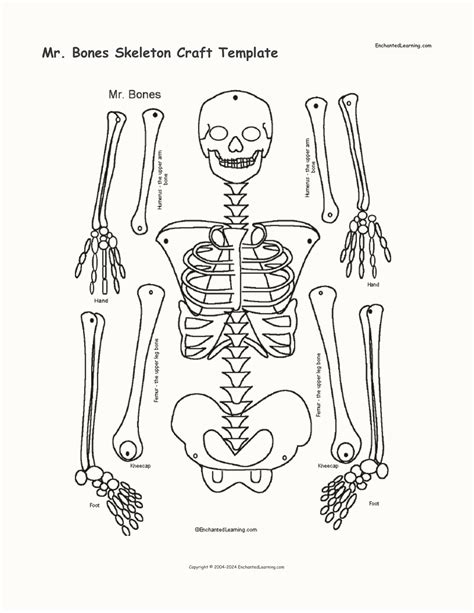 Cut Out Printable Skeleton Bones Template