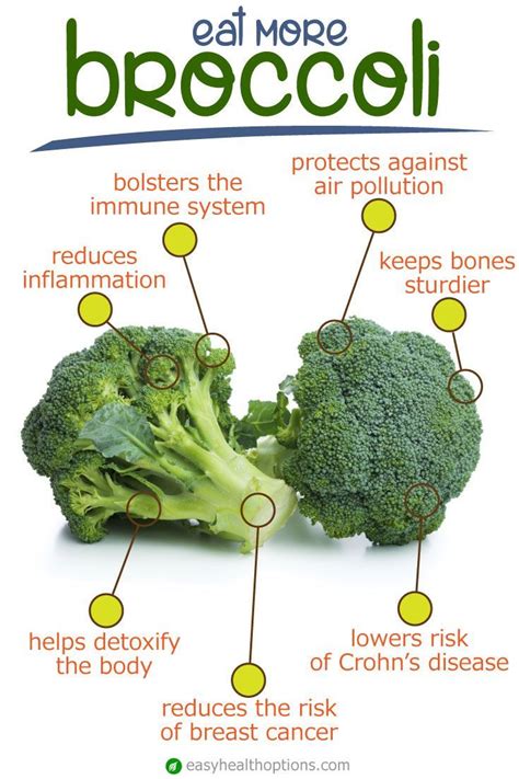 Easy Health Options® :: The bountiful benefits of broccoli | Broccoli ...