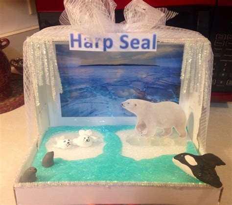 Hannah's diorama...harp seal | Kids science fair projects, Habitats ...