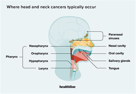 Jaw Cancer: Symptoms, Causes, Treatment, Outlook, and More