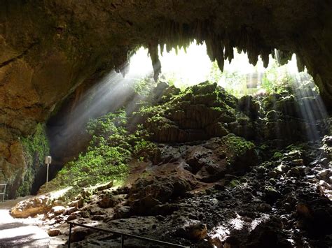 Las Cavernas del Río Camuy