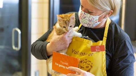 Volunteer opportunities and application process | Animal Humane Society