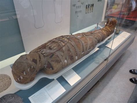 Ancient Egypt Mummies British Museum