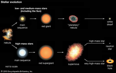 Red giant star | Britannica.com