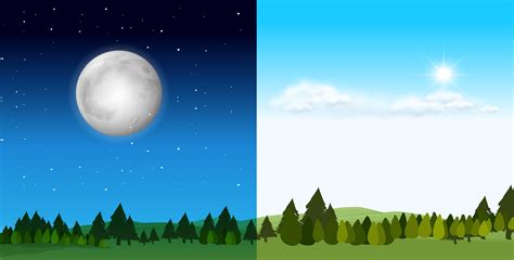 Day time and night time scene 295669 Vector Art at Vecteezy