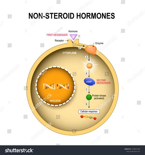 746 Protein kinase Images, Stock Photos & Vectors | Shutterstock