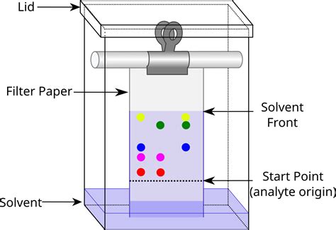 Chromatography Diagram Labeled