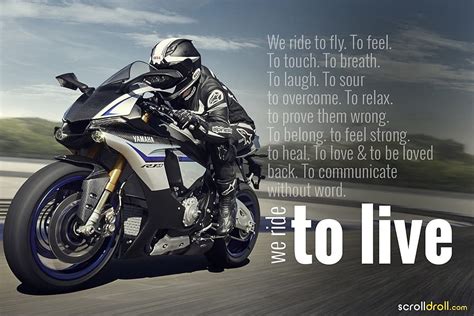 Motorcycle Quote on Dog, bike rider lovers HD wallpaper | Pxfuel