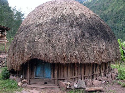 Papua On The Map: HONAI (House of Papuan's Tribe)