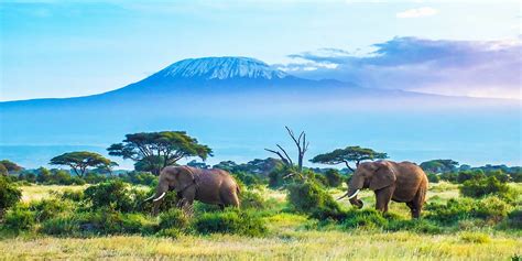 5 Days Tanzania wildlife safari - Ngorongoro Crater Tanzania