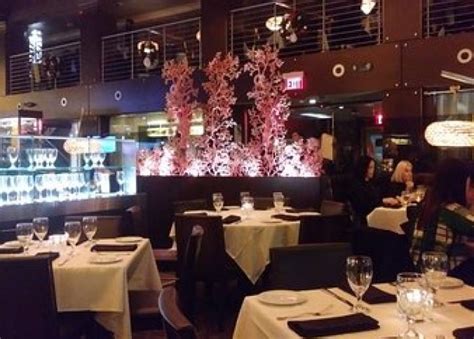 Highest-rated fine dining restaurants in Philadelphia, according to ...