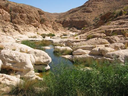 National Parks in Tunisia, Tunisia | TourismTunisia.com