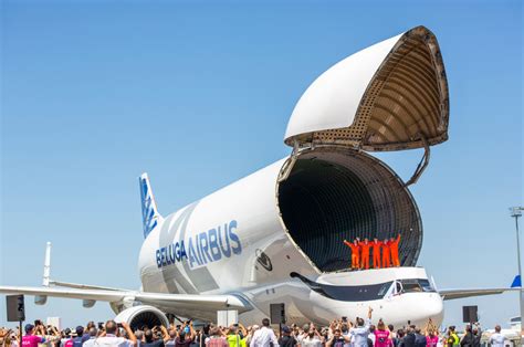 Découvrez le Beluga XL, le dernier avion-cargo Airbus | Avion cargo ...