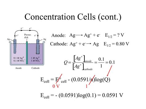 PPT - Lecture 13: The Nernst Equation PowerPoint Presentation, free ...