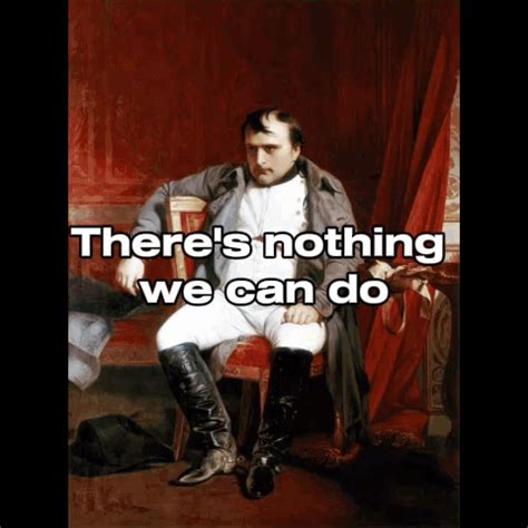 Napoleon There'S Nothing We Can Do Pyritesian GIF - Napoleon there's ...