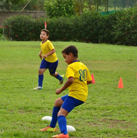 Free stock photo of kids, soccer, training