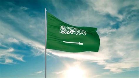 Flag of Saudi Arabia 3D max animation HD - YouTube