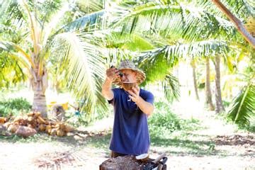 Tour a Coconut Farm in Maui, HI | Maui Coconut Tour