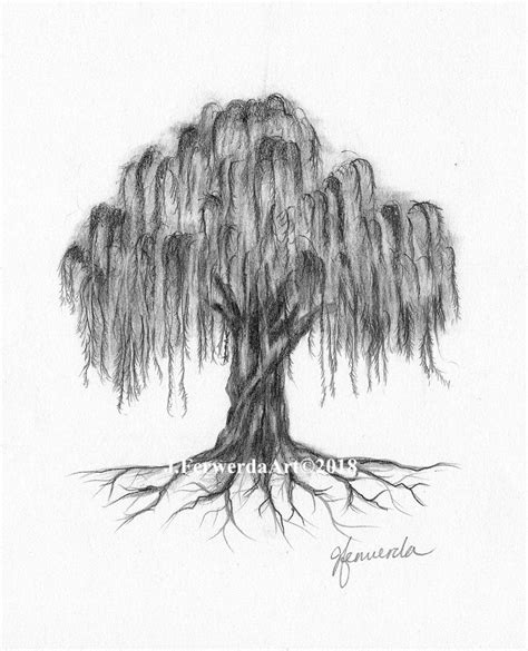 Pencil Drawing Print Willow Roots - Etsy Israel