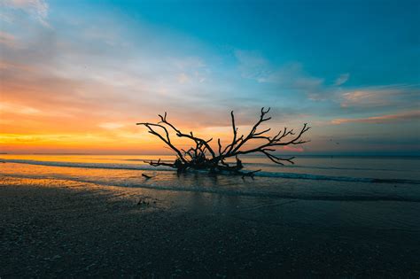 Botany Bay, South Carolina (Photo & Travel Guide)