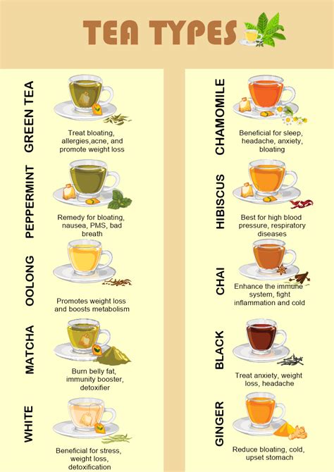 Tea Types Infographic Template | MyDraw