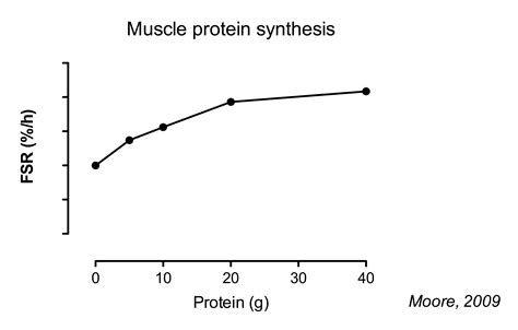 The Ultimate Guide to Muscle Protein Synthesis