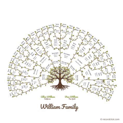 Family Tree Diagram Template Microsoft Word