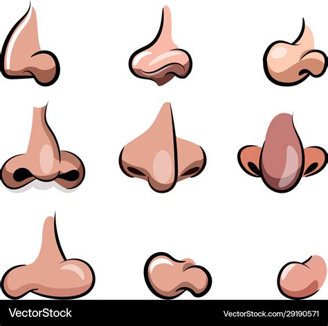 Nose cartoon set for character animation Vector Image