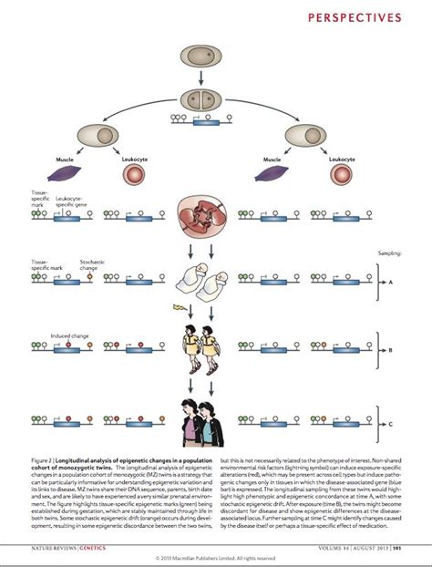 longitudinal analysis of epigenetic changes in a population cohort of ...