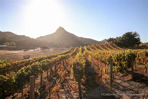 Malibu Wine Hikes: Meeting Stanley the Giraffe at Saddlerock Ranch ...