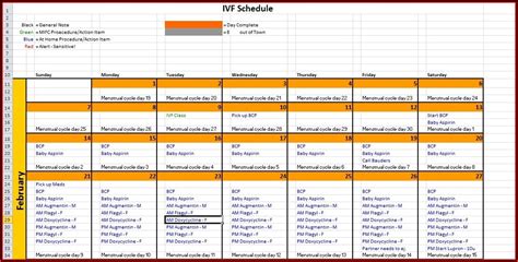 Ivf Frozen Embryo Transfer Calendar - Timeline : Resume Template ...