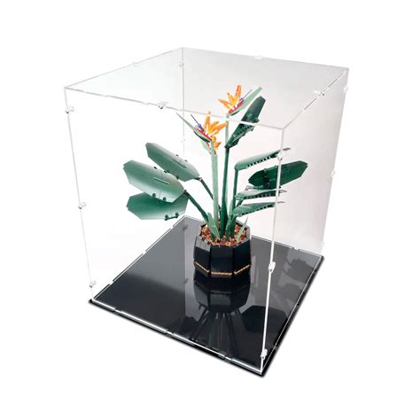 Acrylic Display Case for LEGO Birds of Paradise | iDisplayit